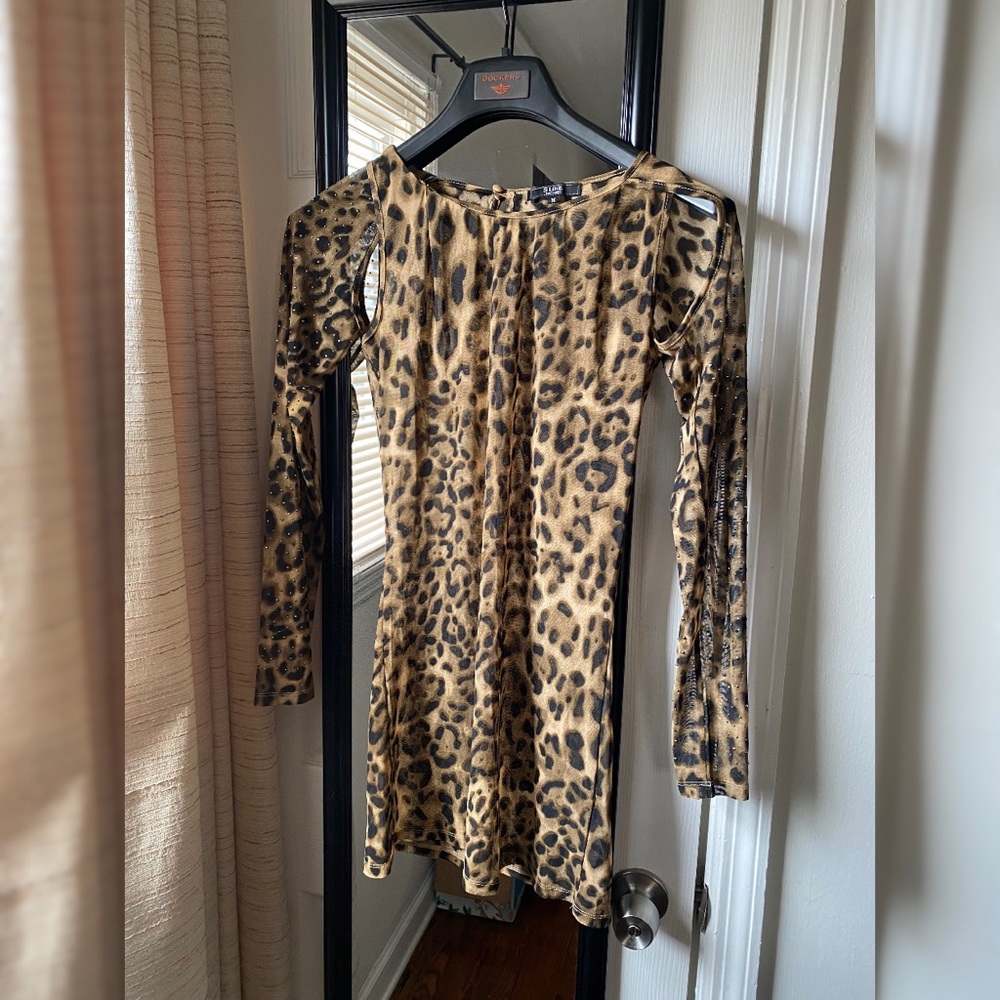 Leopard Mesh Bodycon Dress